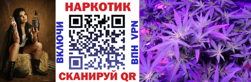 Где можно купить наркотики Петушки КОКАИН  АМФ  ГАШ  Бошки Шишки  Псилоцибиновые грибы  А ПВП  Меф мяу мяу 